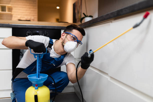 Best Flea Control Services  in Pioneer Village, KY