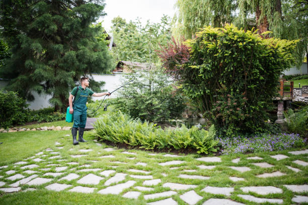 Best Pest Inspection Near Me  in Pioneer Village, KY