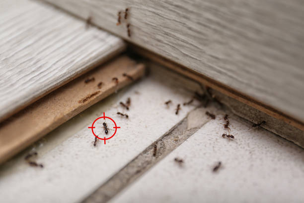 Best Wildlife Control Services  in Pioneer Village, KY