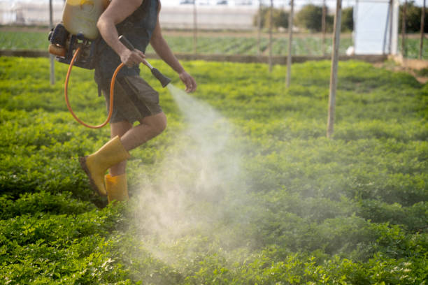 Best Mosquito Control Services  in Pioneer Village, KY