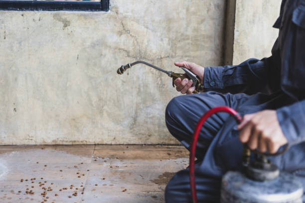 Best Pest Prevention Services  in Pioneer Village, KY